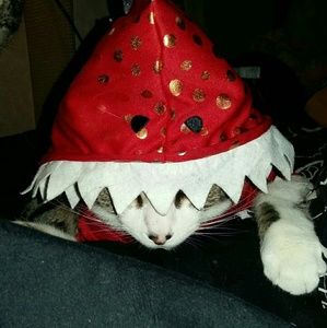 Meet your Posher, Angel